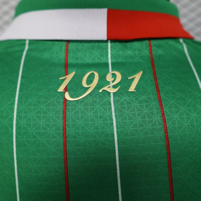 Player Version 25/26 CD Palestina Green Jersey