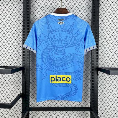 2025/26 Santos Blue Dragon Special Edition Jersey